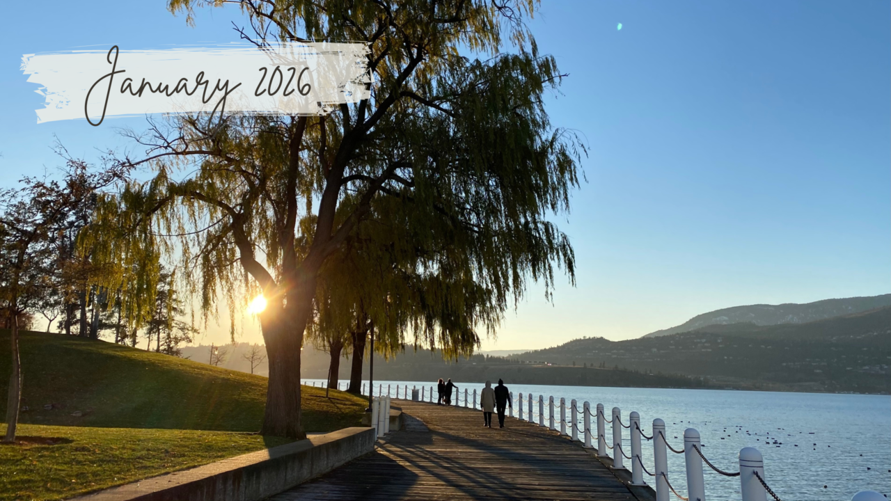 January 2026 Newsletter